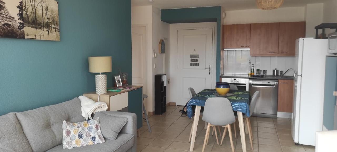 Appartement Avec Grande Terrasse A 15 Mn De La Mer Saint-Esteve  Luaran gambar